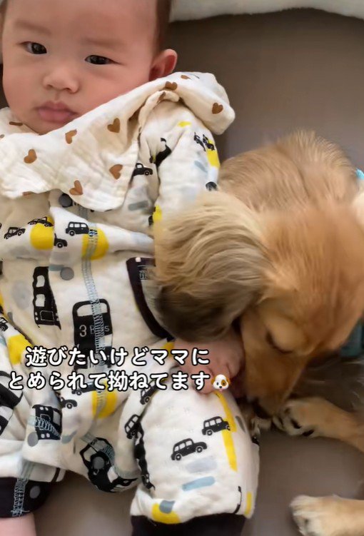 赤ちゃんと遊びたいサニーちゃん3