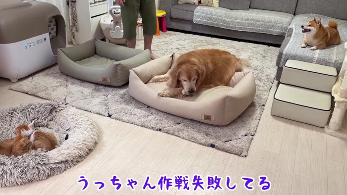 あえなく作戦失敗！！