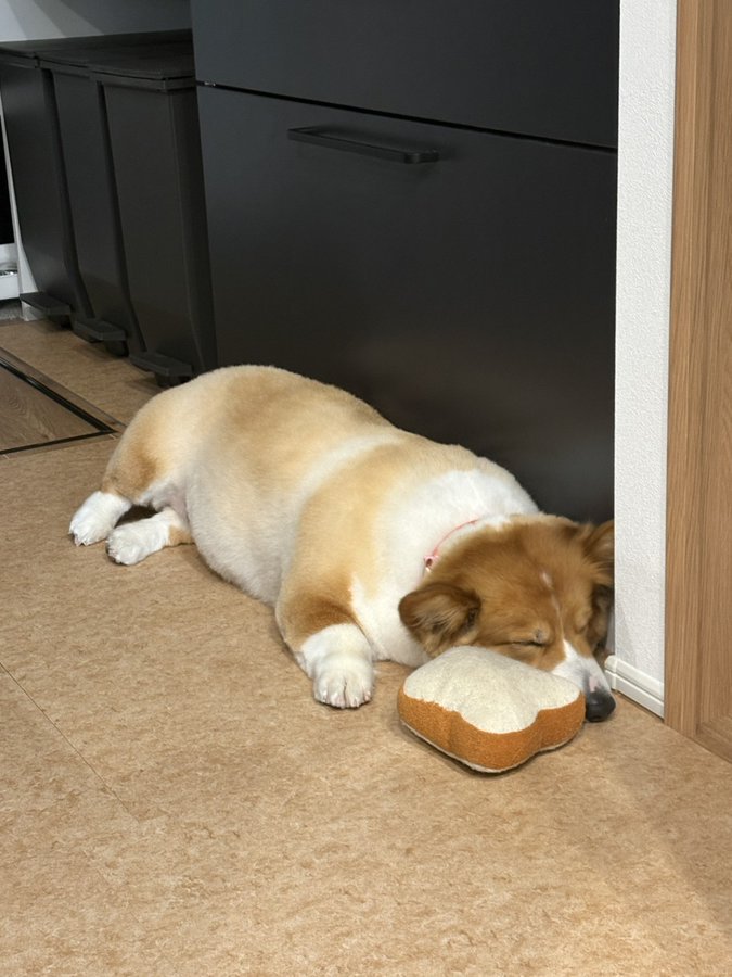 立派に成長