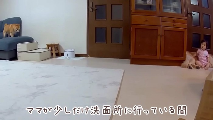 ママが洗面所へと移動