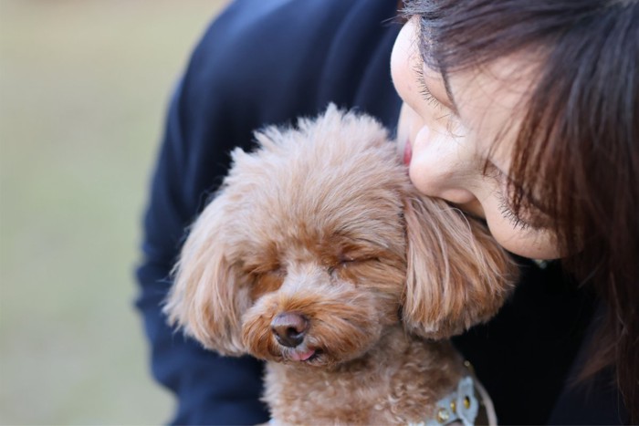 じゃれあいを嫌がる犬