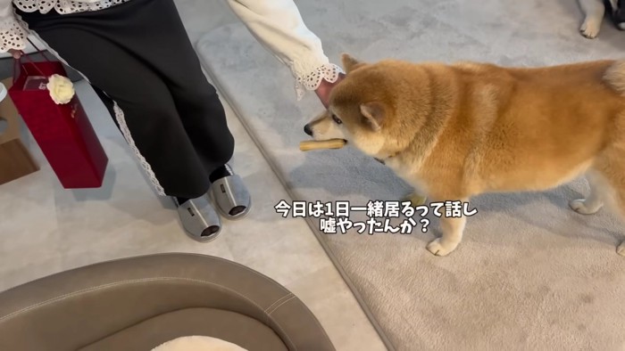「もう帰っちゃうの…」