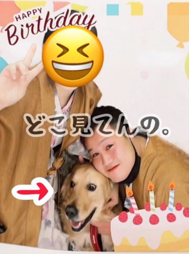 飼い主たちに囲まれている犬のプリクラ写真