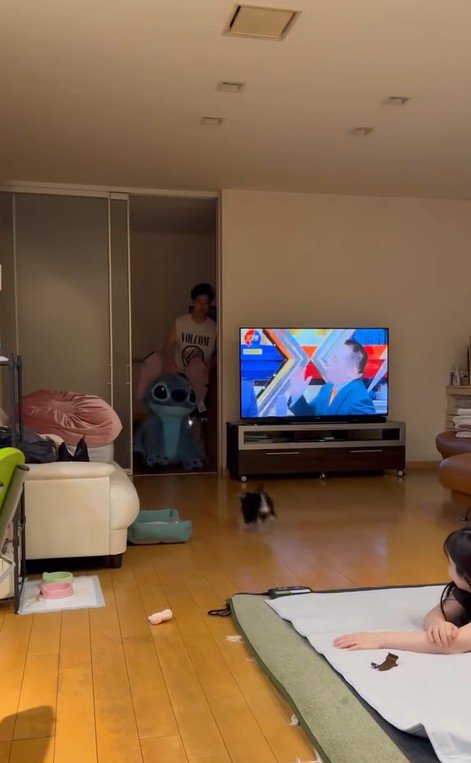 大きなぬいぐるみを見た貂ちゃん3