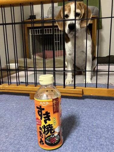 すき焼きの