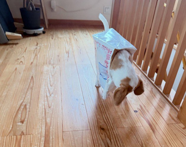 雨の日の遊びは…