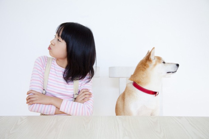 喧嘩する少女と柴犬