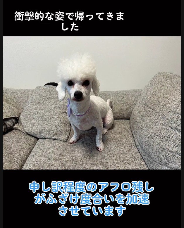 頭頂部の毛が…