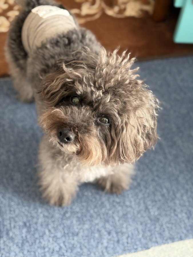 角度浅めのエマの傾げ方