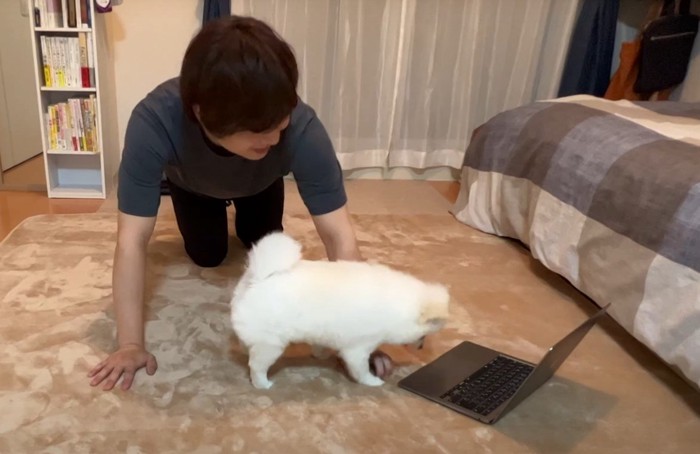 ノートPCを見る人と犬