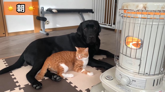 寄り添ってリラックス中