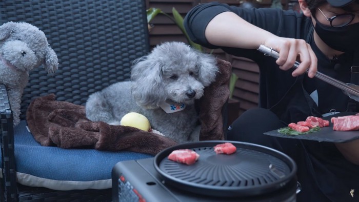 肉を焼く男性と犬