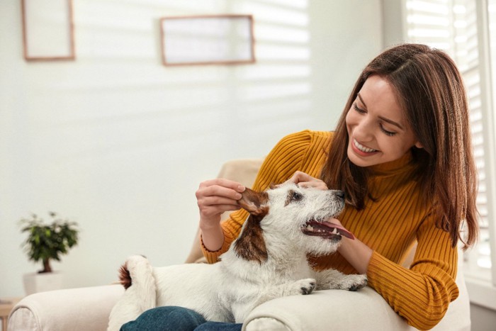 戯れ合う女性と犬