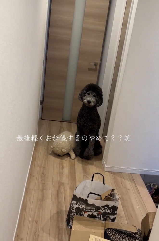 廊下で座る犬