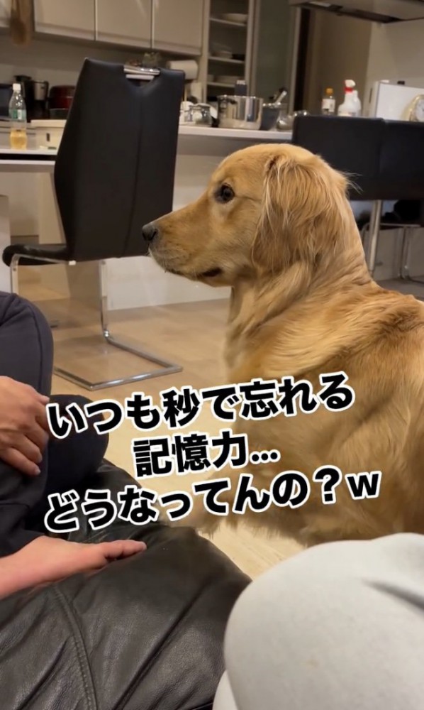 お散歩までもう一歩