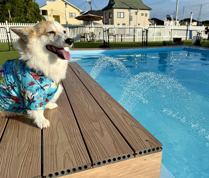 水遊び