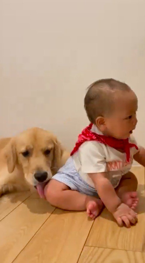 赤ちゃんの足を舐める犬