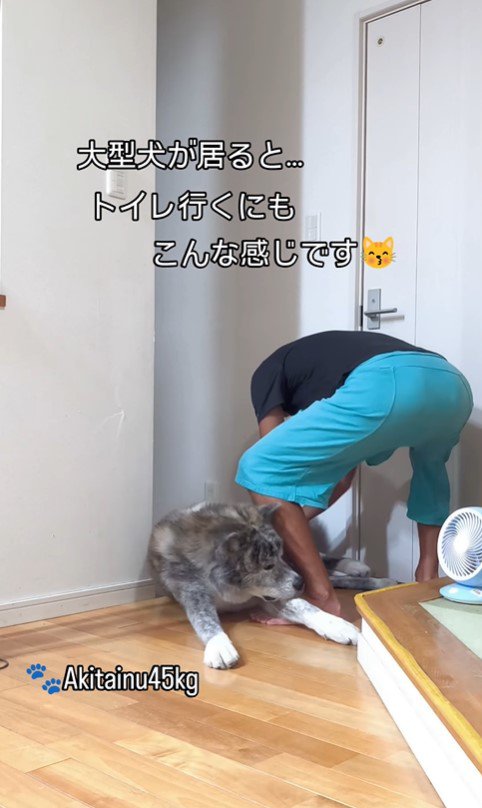 トイレに行きたいパパさんVS虎男くん4