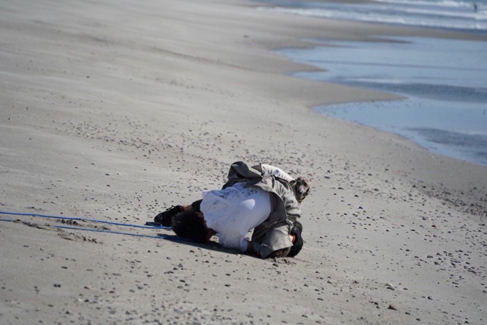 飼い主さんを心配するプットくん