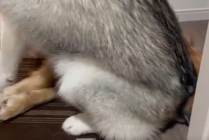 距離感がバグりすぎ!?