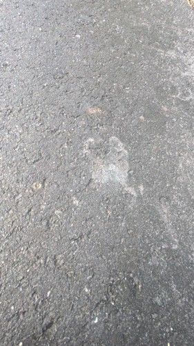 くっきりとした足跡
