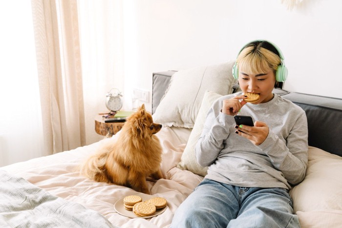 スマホに夢中な女性を見つめる犬