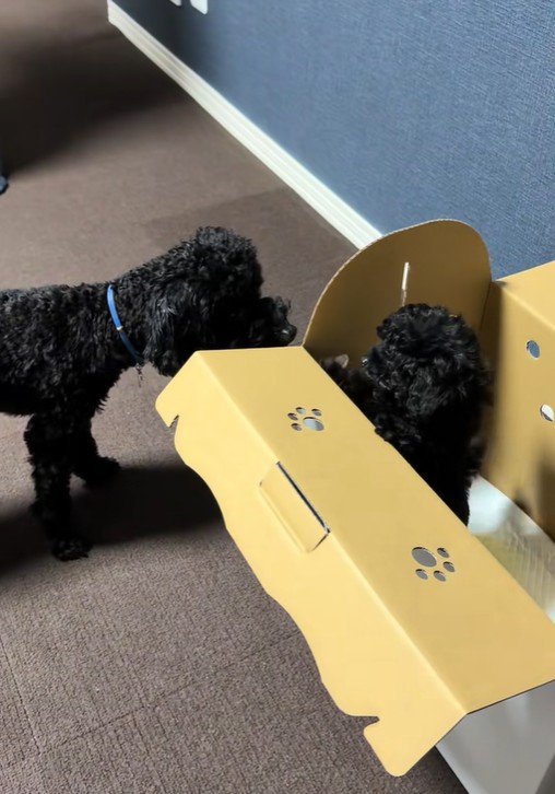 はじめましてのご挨拶♪