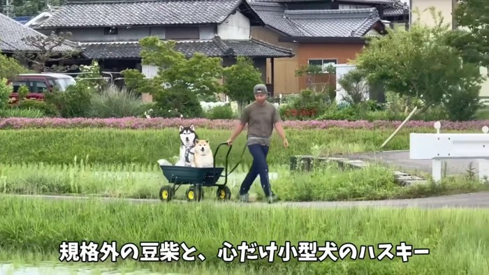 シュールな光景に爆笑