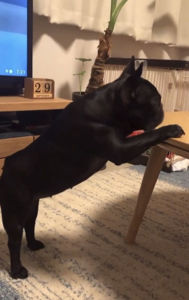 ストレッチ1