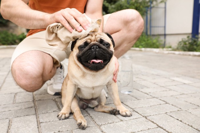 疲れて座り込む犬