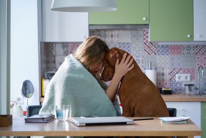 落ち込んだ女性を慰める犬