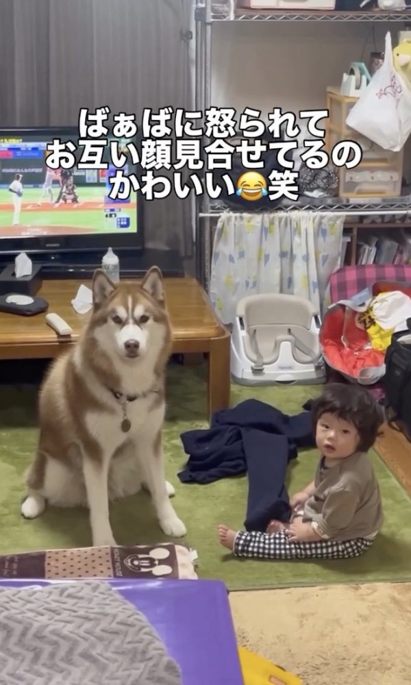 あふれる姉弟感