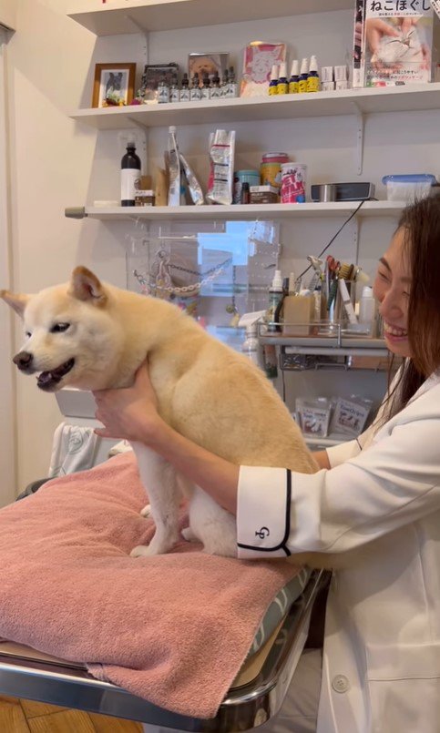 鍼治療を受けるココちゃん5