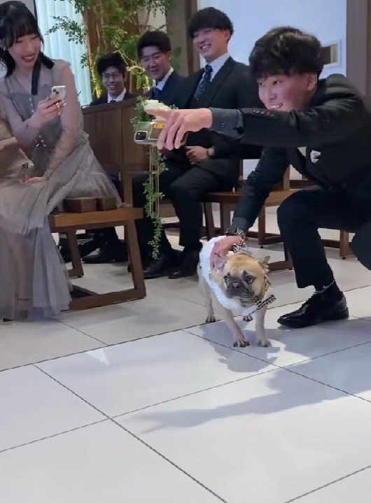 「あっちだよ」