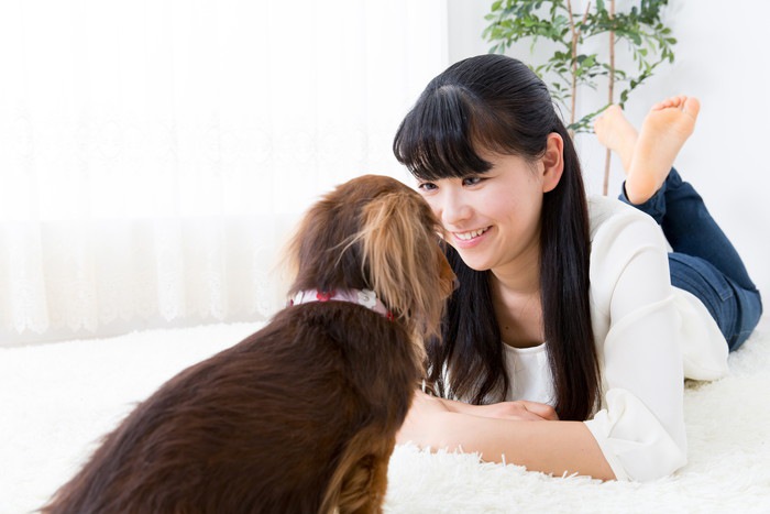 見つめ合う犬と人