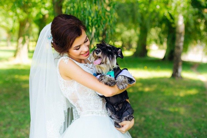 犬と新婦