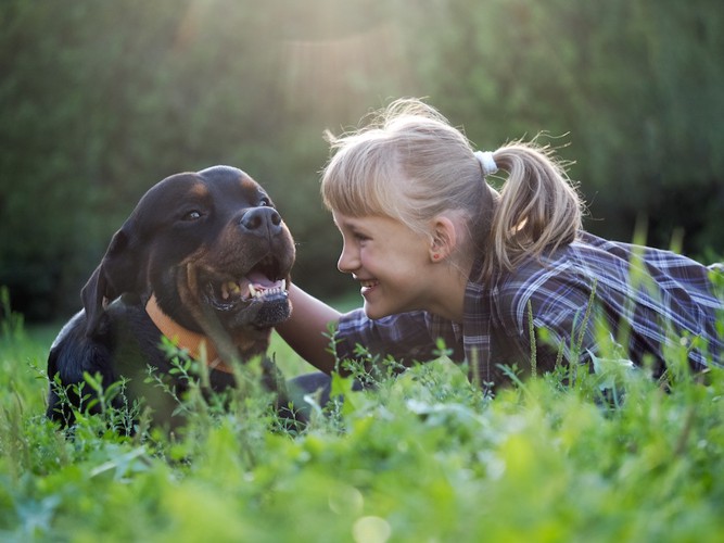 微笑む女の子と犬