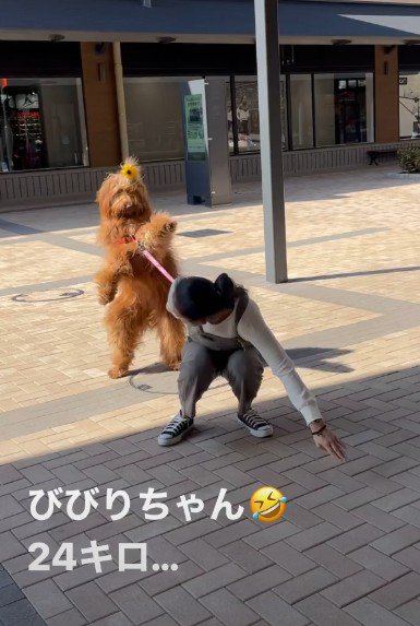 「絶対に行きたくない!」