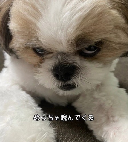 ガン飛ばしてる！！