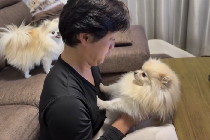 体を反らして人と距離を保つ犬