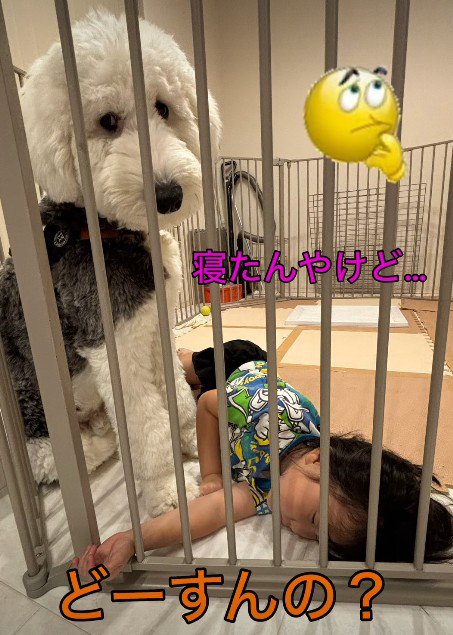 「どうしてここで寝ているの?」
