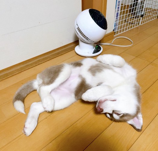 お迎え