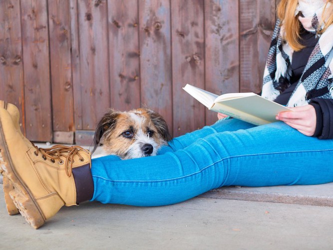 本を読む女性の足元でくつろぐ犬