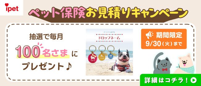 広告