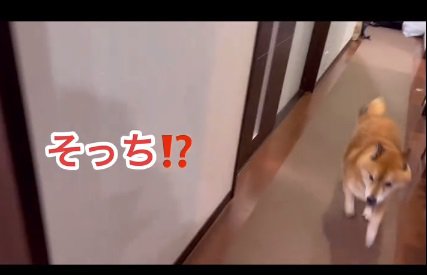 探し回るロックくん