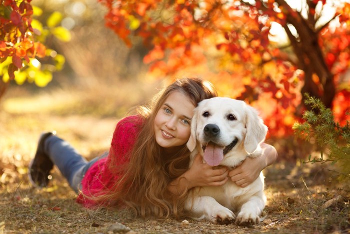 紅葉の中の犬と女性