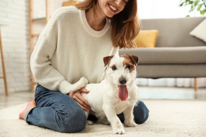 女性の足元にいる犬