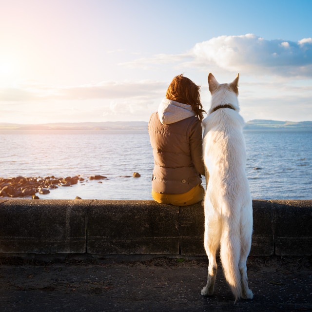 白い犬と女の子