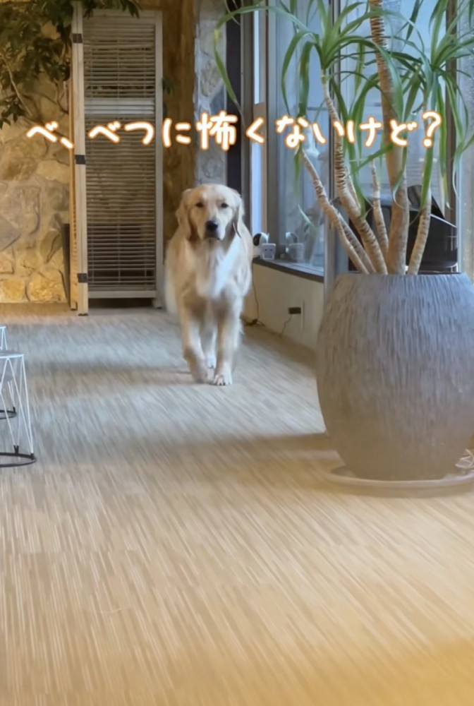 「平常心ですけど？」