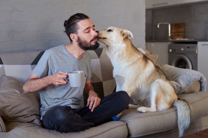 男性の口のあたりを舐める犬